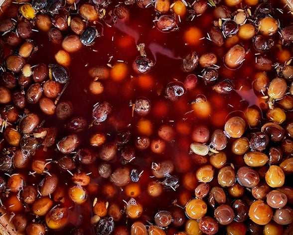 A close-up of coffee cherries after anaerobic fermentation.